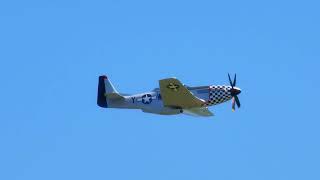 Bum Steer  North American Aviation TF51D P51 Mustang  N20TF  2023 Garmin KC Air Show Day 2 [upl. by Akira]