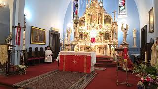 Our Lady of Czestochowa Sunday Mass  May 19 2024 [upl. by Esinwahs]