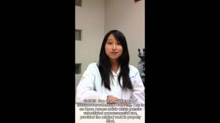 Video abstract Ospemifene for dyspareunia potential benefits in breast and bone ID 39146 [upl. by Ahsinotna295]