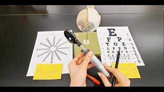 Eye and Vision Examination Tools [upl. by Osana]