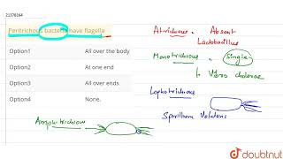 Peritrichous bacteria have flagella [upl. by Jovitta]