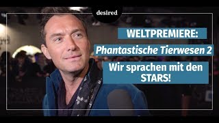 Phantastische Tierwesen Grindelwalds Verbrechen mit Jude Law Eddie Redmayne Johnny Depp [upl. by Alleber3]