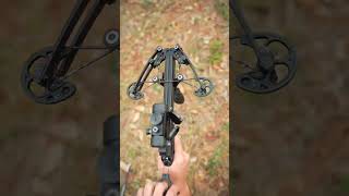 THE MOST VERSATILE CROSSBOW [upl. by Airalednac]