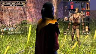 Lets Play Neverwinter Nights 133 Haljal Throndor [upl. by Ailgna253]