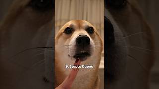 Top 10 Gooby Woobies very scary dog shiba [upl. by Aker960]