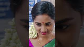 Srushti Dange Looks Gorgeous in Saree  PremistheInthena  shorts  youtubeshorts  Ytshorts [upl. by Lekcim650]