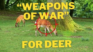 quotWeapons Of Warquot To Be Used For Deer Cull  A Lawyer Explains [upl. by Elyc]