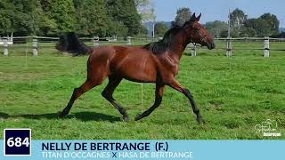 Vidéo LOT 684 NELLY DE BERTRANGE  Ventes de Trotteurs de Caen  26 septembre 2024 [upl. by Rozalie392]