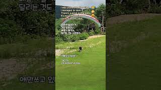 애만쓰고 있네ㅎㅎ🤪 Funny Paragliding Hanggliding 지혜 [upl. by Ardnahcal]