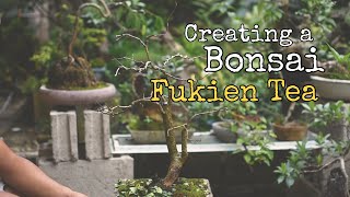 EP 9  Fukien Tea Bonsai  Carmona Retusa [upl. by Burkley]