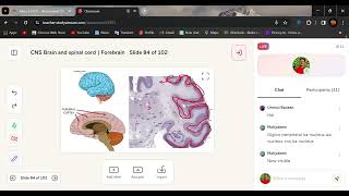 Telencephalon amp Diencephalon  Cerebral Cortex  lobs [upl. by Monney706]