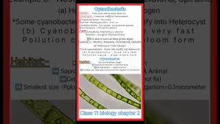 What is Cyanobacteriaclass 11 biology chapter 2 Cbsecynobacteriaeubacteriamycoplasmashorts [upl. by Enirehtakyram519]