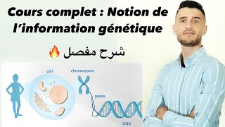 Cours complet  Notion de l’information génétique 🧬 شرح مفصل ومبسط [upl. by Ettener]