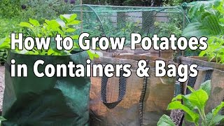 How to grow potatoes in potato bags with Van Meuwen [upl. by Akilat]