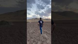 Sharptailed grouse hunting with my flushing lab huntinguplandhuntingbirddog birdhuntingbirds [upl. by Ayikal277]