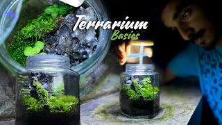 ചില്ല് കുപ്പിക്കുള്ളിലെ മിനി ഫോറെസ്റ്റ്  Terrarium Guide diy [upl. by Antin418]