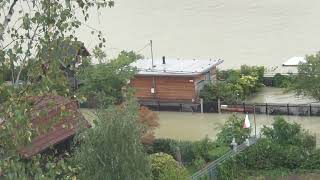 Hochwasser in Wien  Kuchelauer Hafenstraße 1692024 1600 [upl. by Hans]