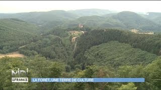 SUIVEZ LE GUIDE  La forêt une terre de culture [upl. by Chouest488]