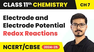 Electrode and Electrode Potential  Redox Reactions  Class 11 Chemistry Chapter 7  CBSE 202425 [upl. by Akiria]