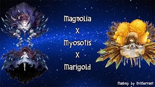 Mashup Magnolia x Myosotis x Marigold [upl. by Sirred]