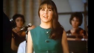 The Seekers  Georgy Girl 1967  Stereo [upl. by Adirf]