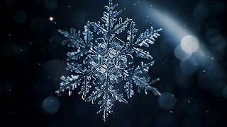 Snowflake Animation [upl. by Ehtyde]