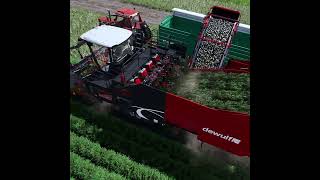 All new Dewulf ZKIVSE harvester  FS22 Premium Expansion [upl. by Haden]