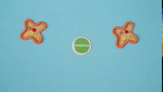 Nestle Good Start  Discover the Difference Probiotic [upl. by Deedahs881]