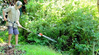 Using a Gas Powered Hedge Trimmer [upl. by Weissberg680]