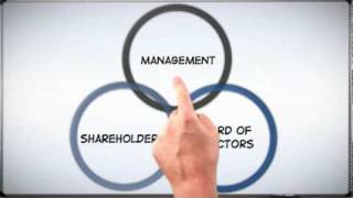 Corp 101 The Basics of Corporate Structure [upl. by Ardnwahsal]