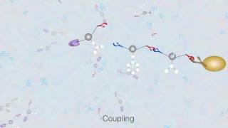 Solid Phase Peptide Synthesis  The Basics [upl. by Dulciana]