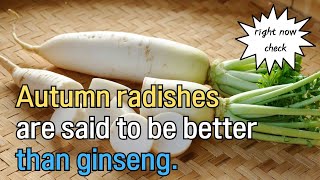 Autumn radishes are said to be better than ginseng [upl. by Vivl]