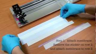 Rapid Test Immunoassay Membrane tutorial [upl. by Atekal]