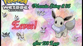 Live Female Shiny Anticipation Eevee hatches via Masuda Method after 133 Eggs  Pokemon White [upl. by Kathie]