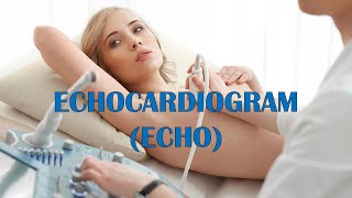 Echocardiogram Echo  Types Indications Patient Preparation Procedure Risks amp Complications [upl. by Lorenza]