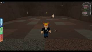 How to find the Aredia City Gym Leader  ROBLOX Pokemon Brick Bronze [upl. by Aivatco622]