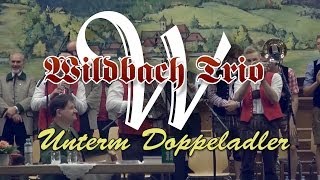 Wildbach Trio quotUnterm Doppeladlerquot [upl. by Aicenev]