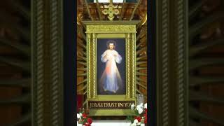 Saint Faustina Diary 1778 inspiration saintfaustina catholic christian christianity god love [upl. by Enelrahs]