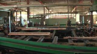 Quality Control Timber Mill Board Yeild [upl. by Yerd]