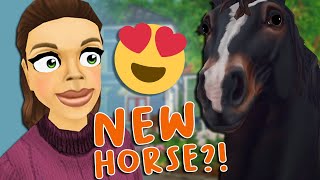 NEW Percheron Horse  SPOILER  Star Stable Online [upl. by Irotal]