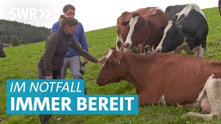 Tierarzt Doku – Geburtshilfe bei der Kuh und Kastration bei den Ziegen [upl. by Vyner]