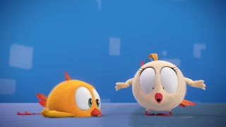 Wheres Chicky Funny Chicky 2022 ❄️ ICESKATE  Chicky Cartoon in English for Kids [upl. by Yeltihw595]