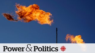 Emissions are back in decline Can that continue without the carbon tax  Power amp Politics [upl. by Jerz]