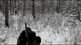 chasse en battue sous la neige [upl. by Jerroll]