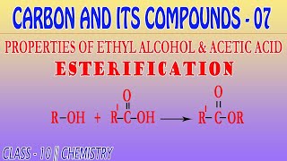 CARBON AND COMPOUNDS 07  ESTERIFICATION  CLASS 10  CHEMISTRY [upl. by Canning]