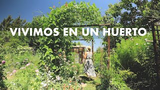 LO MÁS PRODUCTIVO Nuestra casa es un Huerto  Semana 3 de Tours por la Huerta [upl. by Zaragoza599]