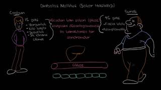 Diyabet Şeker Hastalığı Nedir Fen Bilimleri Sağlık ve Tıp [upl. by Suirauqram]