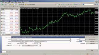 How To Backtest in MT4 [upl. by Fondea620]