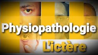 Physiopathologie  3ème cours  Lictère [upl. by Orest821]