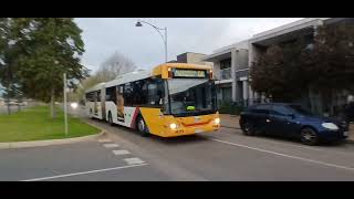 Substitute buses for the Gawler Line [upl. by Dranik412]